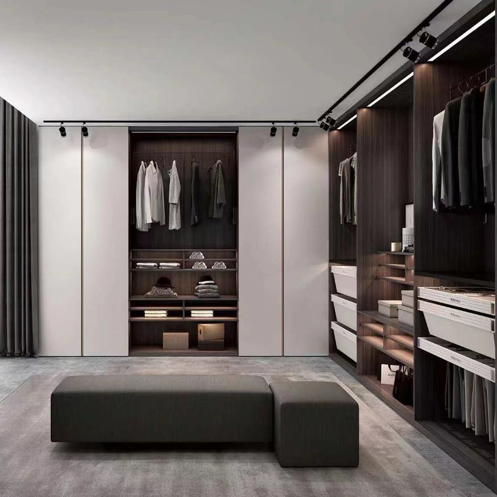 modern walk in closet